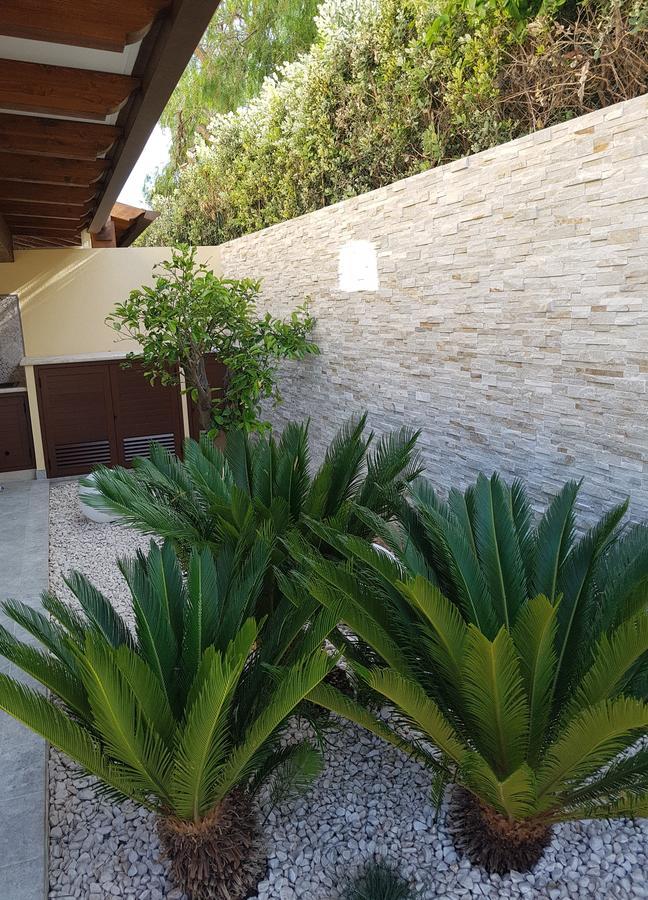 B&B Aloe Comfort Rooms San Vito Lo Capo Luaran gambar