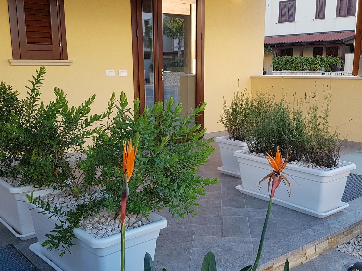 B&B Aloe Comfort Rooms San Vito Lo Capo Luaran gambar